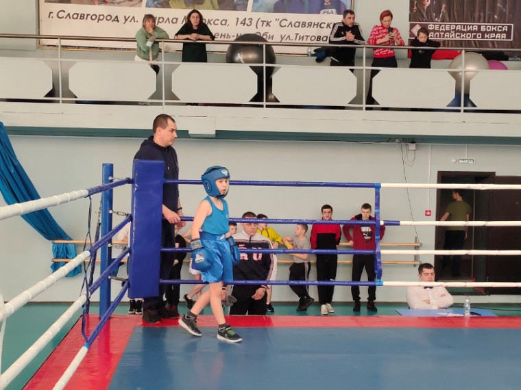Юные боксеры нашей школы достойно выступили на региональном турнире по боксу.